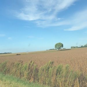 Meet your Posher, Dee